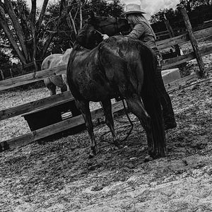 Meet your Posher, Anne